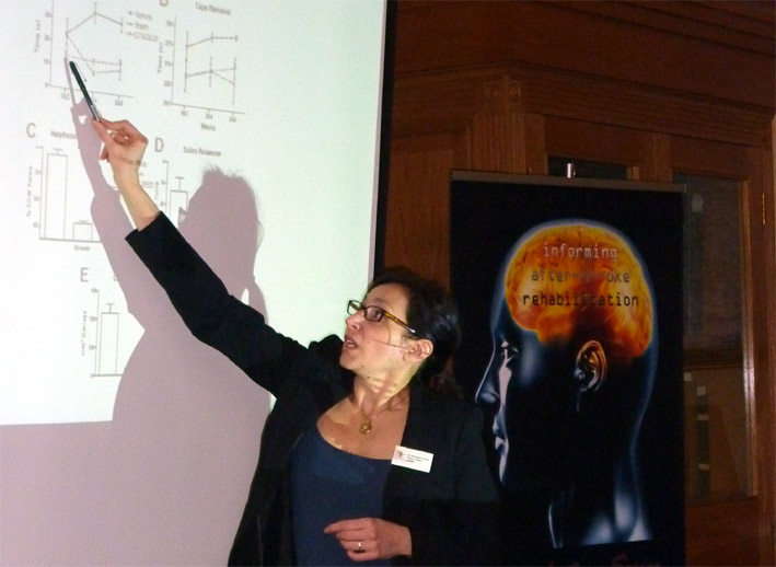 stroke rehabilitation learning